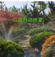 美国雨鸟6504公园案例